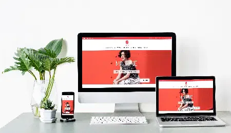 presentation minirine auriah 450 260