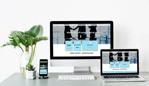 presentation redko 500x289 1 presentation redko 500x289 1