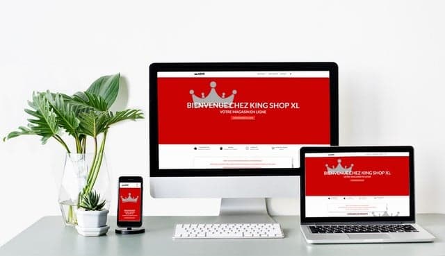 King Tabac – Création site e-commerce alimentation