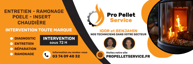 Flyer pro pellet service affiche 300x100 (640 px)